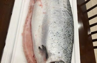 [🆕🇻🇳] Tiến sushi  (Tiến Nhật- Thuỷ sushi) – Bán ăn tại quán, nhận ship hàng và mua mang về 🍔 Top1Food  🍜 Tiến sushi 295 Đội cấn- Ba đình- Hn
034.512.8898 Cá nhà Tiến lúc nào cũng phile con to đùng ntn cả nhà ơiiii Bán ăn tại quán và nhận ship tận  , shares-0✔️ , likes-3❤️️ , date-2024-07-20 21:45:28🇻🇳🇻🇳🇻🇳📰🆕