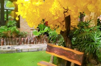 [☕️🇻🇳] Cà phê Ngọc Hà- Cafe sân vườn 🥤 Top1Coffee ☕️ Cà phê Sân Vườn Ngọc Hà
Một nơi lý tưởng cho bạn làm việc và thư giãn
————-
HÂN HẠNH ĐƯỢC TIẾP ĐÓN BẠN
Cà Phê Sân V , shares-0✔️ , likes-13❤️️ , date-2024-07-24 18:28:01🇻🇳🇻🇳🇻🇳📰🆕