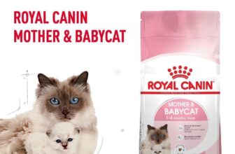 [🆕🇻🇳] FamiPet – Siêu Thị Cho Thú Cưng 🐶🦜 Top1Pets 🐱🐠 Thức ăn hạt cho mèo Royal Canin Mother and Baby Cat túi 400gr và túi 2kgThông tin sản phẩm:
Thức Ăn Cho Mèo Royal Canin Mother & Babycat là thức ăn phù h , shares-0✔️ , likes-3❤️️ , date-2024-07-31 23:23:59🐶🐱🇻🇳🇻🇳🇻🇳📰🆕