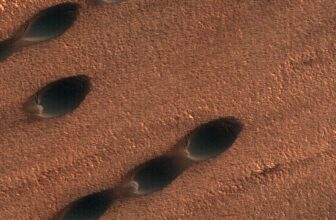 [🆕🇻🇳] Vật Lý Thiên Văn ♥️️ Top1Index 📚   Bạn có thể đoán được tên thiên thể chỉ với 1 chi tiết nhỏ không?  Hãy thử tài kiến thức về Hệ Mặt Trời cùng VLTV nhé! Đáp án sẽ được bật mí cuối tuần này. , shares-0✔️ , likes-40❤️️ , date-2024-07-31 02:00:46🇻🇳🇻🇳🇻🇳📰🆕