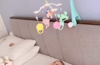 [🆕🇻🇳] LN Kids – Đồ sơ sinh chính hãng 🧑‍🧒❤️️👶⭐️ Treo nôi 159k
, shares-0✔️ , likes-18❤️️ , date-2024-07-30 05:31:17🇻🇳🇻🇳🇻🇳📰🆕