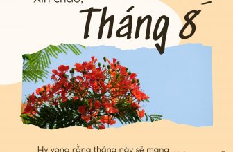 [🆕🇻🇳] Alpha Travels – Kênh Du Lịch Khám Phá ♥️️ Top1Checkin ☑   Chúc mọi người tháng mới nhiều niềm vui & hành phúc
, shares-0✔️ , likes-0❤️️ , date-2024-07-31 14:26:14🇻🇳🇻🇳🇻🇳📰🆕