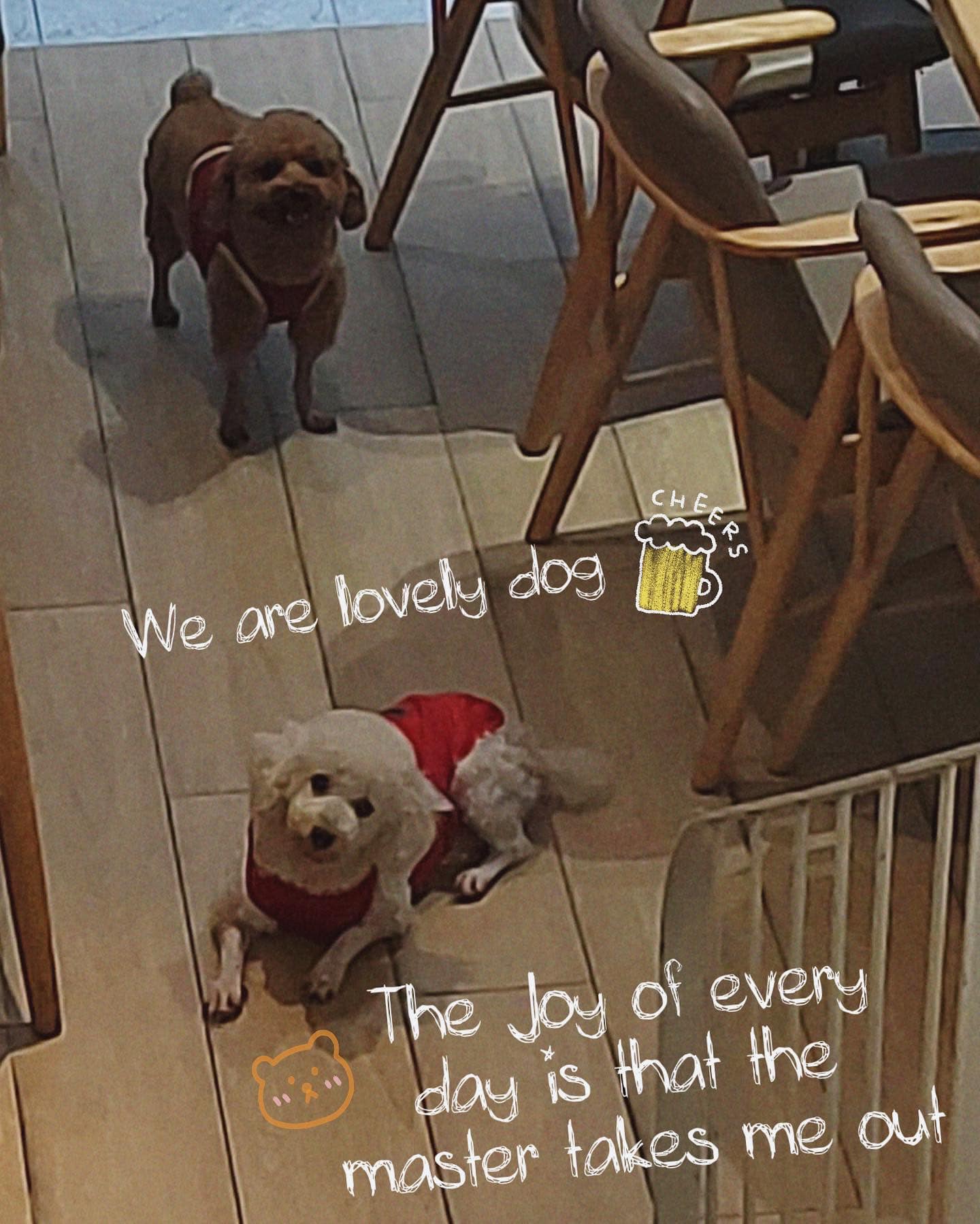 [☕️🇻🇳] Gu Coffee – Cung cấp và kinh doanh cafe sạch pha máy nguyên chất 100% 🥤 Top1Coffee ☕️  , shares-0✔️ , likes-1❤️️ , date-2024-08-08 04:46:40🇻🇳🇻🇳🇻🇳📰🆕