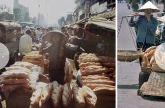 [🆕🇻🇳] Góc Xưa Nét Cũ ♥️️ Top1Life 📚  Ký ức về “Bánh mỳ Sài Gòn” và những câu thơ quen thuộc  _ GXNC ‎
, shares-2✔️ , likes-2❤️️ , date-2024-08-06 11:45:27🇻🇳🇻🇳🇻🇳📰🆕