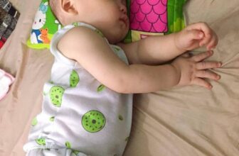 [🆕🇻🇳] BonBon Shop – Đồ Dùng Cho Mẹ Và Bé 🧑‍🧒❤️️👶⭐️ gỐI ĐINH LĂNG
Đinh lăng là một trong những loài thảo dược dễ dàng tìm thấy trong vườn nhiều gia đình. Với mùi hương đặc trưng, đinh lăng được sử dụng như m , shares-0✔️ , likes-1❤️️ , date-2024-08-13 13:47:58🇻🇳🇻🇳🇻🇳📰🆕