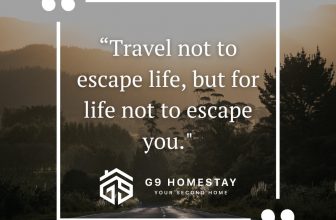 [🏙🇻🇳] G9 Homestay – Your second home 🏙️ Top1Land 🏠 [ENGLISH BELOW]“Du lịch không phải để thoát khỏi cuộc sống, mà để cuộc sống không thoát khỏi bạn.”Tại G9 Homestay, chúng tôi tin rằng mỗi chuyến đi l… , shares-0✔️ , likes-0❤️️ , date-2024-08-23 02:00:12🇻🇳🇻🇳🇻🇳📰🆕