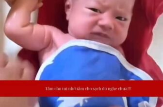 [🆕🇻🇳] MothersBaby – Thương hiệu mẹ và bé hàng đầu Hàn Quốc 🧑‍🧒❤️️👶⭐️ Tui khó tính lắm á
, shares-0✔️ , likes-0❤️️ , date-2024-08-29 17:00:41🇻🇳🇻🇳🇻🇳📰🆕