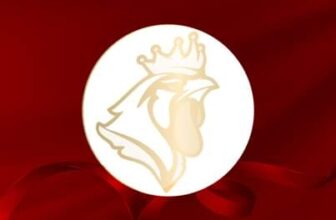 [🆕🇻🇳] Vua Gà Nướng – Thương Hiệu Gà Ngon 🍔 Top1Food 🍜  , shares-0✔️ , likes-17❤️️ , date-2024-08-22 19:04:38🇻🇳🇻🇳🇻🇳📰🆕