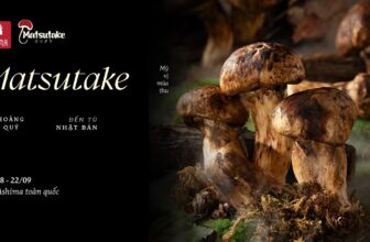 [🆕🇻🇳] ASHIMA MUSHROOM HOTPOT là chuỗi nhà hàng LẨU NẤM THIÊN NHIÊN 🍔 Top1Food 🍜 MATSUTAKE  – “NỮ HOÀNG NẤM” ĐẾN TỪ NHẬT BẢN, CHỈ XUẤT HIỆN MỘT LẦN TRONG NĂMHãy để Ashima đưa bạn vào hành trình ẩm thực tinh tế, nơi mỗi món ăn được ch , shares-1✔️ , likes-7❤️️ , date-2024-08-22 23:40:36🇻🇳🇻🇳🇻🇳📰🆕