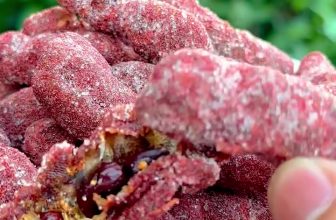 [🆕🇻🇳] Hương Vị An Giang – Đặc Sản An Giang 🍔 Top1Food 🍜 Giảm Giá 20% Mua Trên Live – Me Xí Muội – Giao hàng tận nhà
, shares-0✔️ , likes-12❤️️ , date-2024-08-26 21:58:19🇻🇳🇻🇳🇻🇳📰🆕