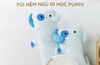 [🆕🇻🇳] Khang Home là thương hiệu hàng đầu Việt Nam chuyên sản xuất nệm và đồ dùng phòng ngủ cho trẻ sơ sinh 🧑‍🧒❤️️👶⭐️ Giới Thiệu Sản Phẩm Túi Nệm Đi Học Mới – Họa Tiết Hoạt Hình Ngộ Nghĩnh, Đáng yêu!Mùa tựu trường sắp đến, Bố Mẹ đang chuẩn bị những hành trang tốt nhất c , shares-0✔️ , likes-5❤️️ , date-2024-08-23 01:09:03🇻🇳🇻🇳🇻🇳📰🆕