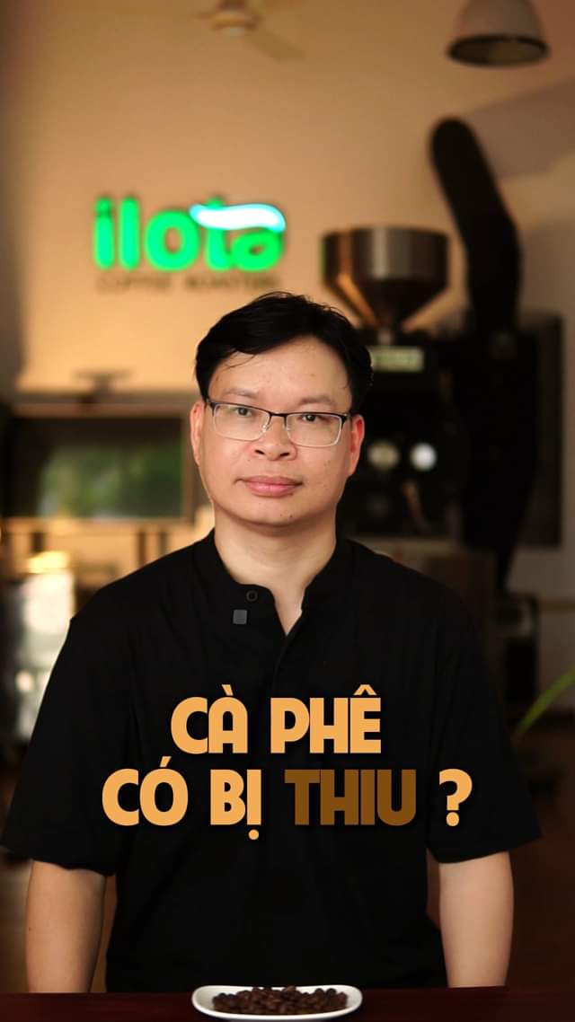 [☕️🇻🇳] ILOTA Coffee Roasters – Cafe rang xay 🥤 Top1Coffee ☕️ Cà phê có bị thiu không  #ilota #coffee #quancafe
, shares-0✔️ , likes-0❤️️ , date-2024-08-29 01:00:49🇻🇳🇻🇳🇻🇳📰🆕