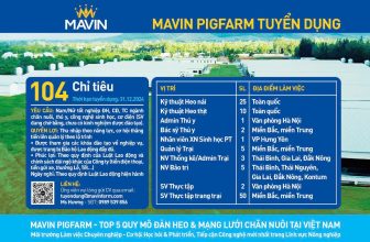 [💼🇻🇳] TUYỂN DỤNG MAVIN 👁 Top1Jobs👥 Thông báo tuyển dụng 104 chỉ tiêu ngành Pigfarm
Công ty Cổ phần Chăn nuôi Mavin – Top 5 Công ty chăn nuôi heo lớn nhất Việt Nam , shares-1✔️ , likes-5❤️️ , date-2024-08-26 19:28:23🇻🇳🇻🇳🇻🇳📰🆕