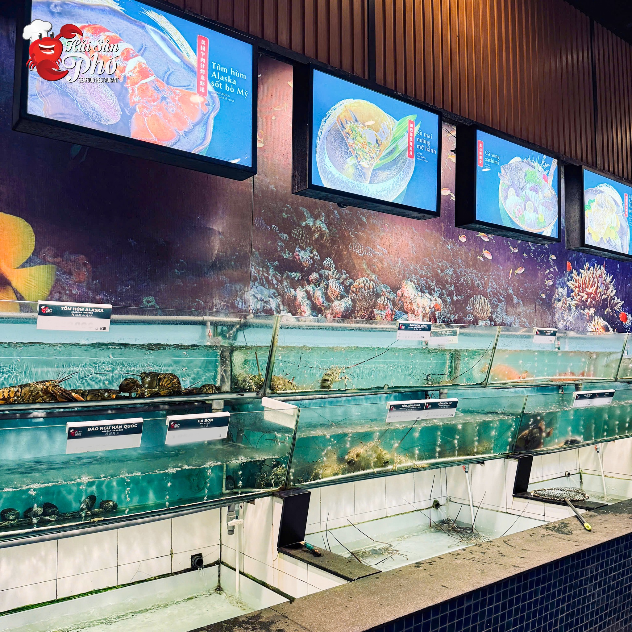 [🆕🇻🇳] Hải Sản Phố – 48 Liễu Giai 🍔 Top1Food 🍜  KHÁM PHÁ “BIỂN HẢI SẢN” GIỮA LÒNG PHỐ 

Nằm nổi bật tại một tuyến phố đông người qua lại, Hải Sản Phố Liễu Giai luôn giữ được một nét rất riêng, thu hút s , shares-0✔️ , likes-12❤️️ , date-2024-08-27 22:17:04🇻🇳🇻🇳🇻🇳📰🆕