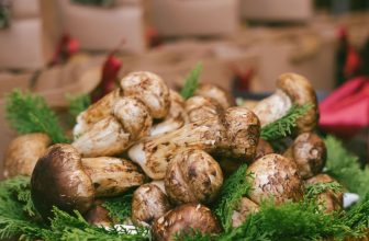 [🆕🇻🇳] ASHIMA MUSHROOM HOTPOT là chuỗi nhà hàng LẨU NẤM THIÊN NHIÊN 🍔 Top1Food 🍜 MÙA NẤM QUÝ CẢ THẾ GIỚI MONG CHỜ ĐÃ ĐẾN ASHIMA
SỰ KIỆN KHAI MỞ MÙA NẤM QUÝ MATSUTAKE LẦN THỨ 14
TẶNG ưu đãi 10% đến hết 06/09 khi đặt bàn tại hệ thống Ash , shares-1✔️ , likes-37❤️️ , date-2024-08-30 01:00:27🇻🇳🇻🇳🇻🇳📰🆕