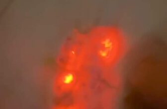 [🆕🇻🇳]  Aiko Kids – Thời Trang Cho Bé – Cửa hàng chuyên dép sục, giày lười và phụ kiện, charm gắn dép 🧑‍🧒❤️️👶⭐️  , shares-0✔️ , likes-5❤️️ , date-2024-08-29 17:43:25🇻🇳🇻🇳🇻🇳📰🆕