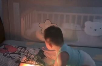 [🆕🇻🇳] HaTha Store – Hàng Xuất Khẩu 😎❤️️⭐️ Đã 1h sáng òi mà còn quẩy
, shares-0✔️ , likes-12❤️️ , date-2024-09-04 15:07:58🇻🇳🇻🇳🇻🇳📰🆕