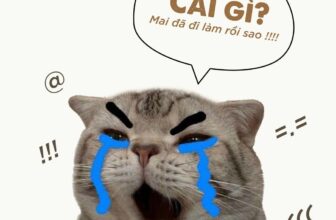 [🆕🇻🇳] DGC Selection là thương hiệu thời trang nam của Tổng công ty Đức Giang 👕 Top1Fashion 👗  THÔNG BÁO: Hết Lễ, quay lại đi học, đi làm, không nói nhiều!—————————
Shopee:
Website:
Hotline: 081.659.1916
Đại lý, nhà phân phối: 0 , shares-0✔️ , likes-0❤️️ , date-2024-09-02 20:00:14🇻🇳🇻🇳🇻🇳📰🆕