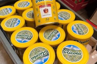 [🆕🇻🇳] Babyhouse Thanh Hóa – Thế giới mẹ và bé 🧑‍🧒❤️️👶⭐️ Kẹo ngậm thảo dược Ricola Original Đức hộp 180 viên giảm ho, khàn giọng
Khối lượng: 250g
Xuất xứ: Đức
CÔNG DỤNG CỦA SẢN PHẨM
– Ricola chứa tinh dầu bạc hà , shares-0✔️ , likes-3❤️️ , date-2024-09-02 21:59:27🇻🇳🇻🇳🇻🇳📰🆕