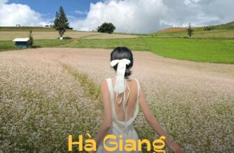 [🆕🇻🇳] Check in Vietnam – Cùng nhau trải nghiệm và và khám phá Việt Nam ♥️️ Top1Checkin ☑  Nhất định phải đi hết 7749 địa điểm đẹp vô cùng tận dịp nửa cuối 2024 thì mới không có lỗi với thiên nhiên nhé  Từ giờ đến cuối năm tha hồ cho anh em tiết  , shares-636✔️ , likes-5K❤️️ , date-2024-09-04 23:53:59🇻🇳🇻🇳🇻🇳📰🆕