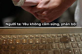 [🆕🇻🇳] 24h – Bệnh Viện Điện Thoại, Laptop 👨‍🔧 Top1Fix 🧰  Chứ hỏng phải đó là sự nghèo khổ hả …
, shares-0✔️ , likes-5❤️️ , date-2024-09-05 21:00:43🇻🇳🇻🇳🇻🇳📰🆕