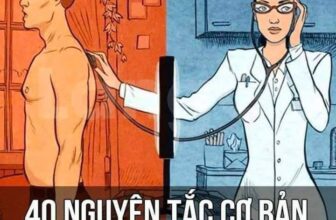 [🆕🇻🇳] Phát Triển Bản Thân – Be Better Than You Were Yesterday!!! 📚 Top1Learn 📕 40 NGUYÊN TẮC CƠ BẢN BẢO VỆ SỨC KHỎE CẦN PHẢI BIẾT1. Ăn hoa quả sau khi ăn cơm là quan niệm sai lầm. Hãy ăn hoa quả trước khi ăn cơm.
2. Trước khi đ , shares-6✔️ , likes-12❤️️ , date-2024-09-03 18:17:42🇻🇳🇻🇳🇻🇳📰🆕