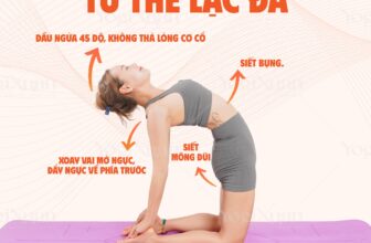 [🆕🇻🇳] Yogi Xuân 🧘 Top1Yoga 🧘 Làm chủ trong từng tư thế Yoga, bí quyết thực hiện chuẩn chỉnh từng động tác!
_________
#yoga #yogixuan #rajayoga #yolife #tutheyogachuan
, shares-85✔️ , likes-351❤️️ , date-2024-09-05 14:00:21🇻🇳🇻🇳🇻🇳📰🆕