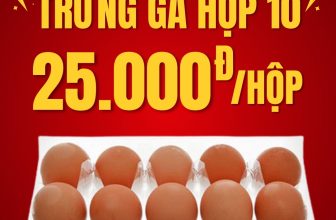 [🆕🇻🇳] Bách Hóa Xanh là chuỗi siêu thị mini chuyên bán thực phẩm tươi sống và nhu yếu phẩm của tập đoàn TGDĐ ♥️️ Top1Index 📚  Trứng Gà Hộp 10 Trứng
Giá chỉ 25,000đ/ hộp
Chỉ từ 6/9 – 8/9
Áp dụng mua hàng online
MUA NGAY ➤➤➤
——————-
Mua hàng trực tuyến tại Bachhoaxanh.c , shares-3✔️ , likes-39❤️️ , date-2024-09-05 18:30:02🇻🇳🇻🇳🇻🇳📰🆕