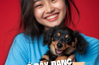 [🆕🇻🇳] Pet Mart – Cửa Hàng Thú Cưng 🐶🦜 Top1Pets 🐱🐠  TUYỂN DỤNG NGAY TẠI #PETMART CÔNG VIỆC DÀNH CHO BẠN TRẺ YÊU CHÓ MÈO (18-24)Bạn yêu thú cưng và muốn trải nghiệm công việc chăm sóc động vật? Pet Mart đ , shares-58✔️ , likes-593❤️️ , date-2024-09-04 22:09:45🐶🐱🇻🇳🇻🇳🇻🇳📰🆕