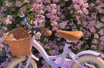 [🆕🇻🇳] Dailybebe-store -Baby & Mom – Đồ dùng mẹ và bé – đồ chơi cao cấp Korea , Us/Uk Chính Hãng🧑‍🧒❤️️👶⭐️  Tới từ đất nước Thụy Điển xinh đẹp, thương hiệu xe STOY là biểu tượng của chất lượng, sự chắc chắn và an toàn. Một chiếc xe đạp xinh xắn như STOY sẽ là ng , shares-0✔️ , likes-85❤️️ , date-2024-09-06 18:03:45🇻🇳🇻🇳🇻🇳📰🆕