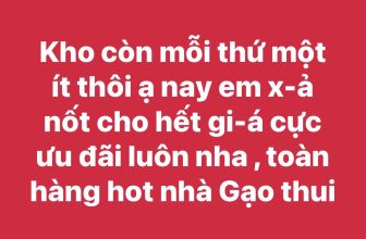 [🆕🇻🇳] Gạo Baby – Chuyên QC Cho Bé 🧑‍🧒❤️️👶⭐️ Sắp chuyển sang hàng đông em x-ả lỗ hết hàng hè
Toàn hàng đẹp x-ả lỗ tiếc lắm ạ
Chi tiết em để dưới cmt nha
(.) để được lên đơn sớm nhất ạ
, shares-1✔️ , likes-24❤️️ , date-2024-09-04 18:04:55🇻🇳🇻🇳🇻🇳📰🆕