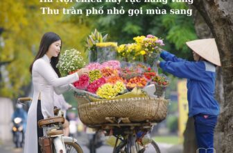 [🆕🇻🇳] Mê Đọc Sách – Trang sách mở ra, trời xa xích lại  📚 Top1Book 📖 THU HÀ NỘIHà Nội chiều nay rực nắng vàng
Thu tràn phố nhỏ gọi mùa sang
Đầm sen vẫn thắm ngàn hoa nở
Cảnh sắc như mơ giữa địa đàngHồ Tây sóng vỗ như lời , shares-7✔️ , likes-66❤️️ , date-2024-09-05 13:13:21🇻🇳🇻🇳🇻🇳📰🆕📚