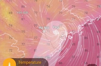 [🆕🇻🇳] Bé Bồng – Cung cấp các sản phẩm cho Mẹ & Bé chính hãng 🧑‍🧒❤️️👶⭐️ Ở nơi xa, ngồi xem những hình ảnh về siêu bão Yagi mà nước mắt trực chào, ruột gan nóng như lửa đốt. Yagi được xem là cơn bão mạnh nhất từng đổ bộ vào đất  , shares-0✔️ , likes-114❤️️ , date-2024-09-07 00:03:17🇻🇳🇻🇳🇻🇳📰🆕