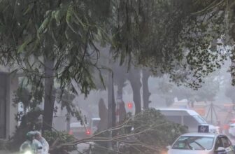 [🆕🇻🇳] Ula Yoga Duyên Dáng 🧘 Top1Yoga 🤸🏻‍♀️ Khai vị
, shares-0✔️ , likes-51❤️️ , date-2024-09-05 20:54:31🇻🇳🇻🇳🇻🇳📰🆕