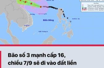 [🆕🇻🇳] Muwono – Thương Hiệu Nem Chua Rán Số 1 Việt Nam – Chất Thượng Hạng – Vạn Người Mê! 🍔 Top1Food  🍜 Theo Trung tâm Dự báo Khí tượng Thủy văn Quốc gia, vào 4h sáng nay (6/9), vị trí tâm siêu bão ở trên vùng biển phía Bắc khu vực Bắc Biển Đông, cách , shares-0✔️ , likes-29❤️️ , date-2024-09-05 13:57:04🇻🇳🇻🇳🇻🇳📰🆕