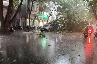 [🆕🇻🇳] LinhLuzz Shop – Thời Trang Trẻ Em 🧑‍🧒❤️️👶⭐️ Bão còn cách gần 500km nhưng thủ đô Hà Nội đã có những thiệt hại đầu tiên -Thỏ-
Tổng hợp
, shares-0✔️ , likes-6❤️️ , date-2024-09-05 20:36:05🇻🇳🇻🇳🇻🇳📰🆕