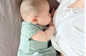 [🆕🇻🇳] Shop Bố Soup – Nơi mua sắm lý tưởng cho mẹ và bé 🧑‍🧒❤️️👶⭐️ Tư thế nằm thoải mái nhất
, shares-0✔️ , likes-0❤️️ , date-2024-09-06 19:24:22🇻🇳🇻🇳🇻🇳📰🆕