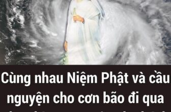 [🆕🇻🇳]  Dâu Tây Store – Chuyên thời trang cho bé 🧑‍🧒❤️️👶⭐️  , shares-1✔️ , likes-10❤️️ , date-2024-09-06 13:36:59🇻🇳🇻🇳🇻🇳📰🆕