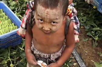 [🆕🇻🇳] Xưởng May Bánh Bao Kids – Cửa hàng quần áo sơ sinh & trẻ em 🧑‍🧒❤️️👶⭐️ Nếu Bạn Không Phải Người Vô Tâm
Xin đừng vội rời đi mà không dành cho con một lời chúc bình an!
MONG trời Thu biếc mãi dịu êm
MONG hoa khoe sắc nở bên th , shares-0✔️ , likes-0❤️️ , date-2024-09-09 11:00:35🇻🇳🇻🇳🇻🇳📰🆕