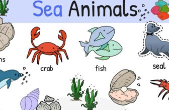 [🆕🇻🇳] English Kids 📚 Top1Learn 📕 Learn Names of Sea Animals in English – ESLBUZZ , shares-1✔️ , likes-0❤️️ , date-2024-08-28 03:00:11🇻🇳🇻🇳🇻🇳📰🆕