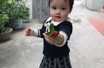 [🆕🇻🇳] Sữa Kids – chuyên Quần áo Trẻ em Quảng Châu 👕 Top1Fashion 👗  Hôm nay mung 1 tháng cuối của năm e bán lấy tương tác cho bộ này con hẳn 1⃣7⃣9⃣1⃣7⃣9⃣ có rẻ quá k ạ. Len đanh mịn , shares-0✔️ , likes-0❤️️ , date-2019-12-25 13:42:53🇻🇳🇻🇳🇻🇳📰🆕
