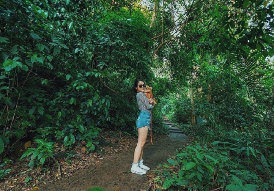 Du lịch Ninh Bình tháng 10 nên đi đâu? Du lịch vườn quốc gia Ninh Bình tháng 10