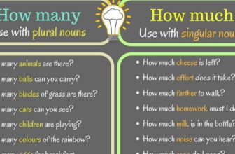 [🆕🇻🇳] English Kids 📚 Top1Learn 📕 MUCH vs MANY: Difference between Many vs Much (with Useful Examples) – ESLBUZZ , shares-0✔️ , likes-2❤️️ , date-2024-10-17 03:00:21🇻🇳🇻🇳🇻🇳📰🆕
