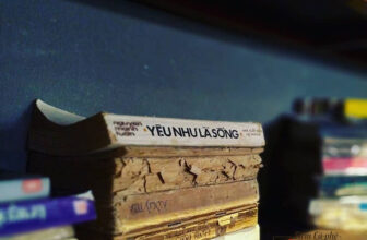 [☕️🇻🇳] 1976 Cà phê   🥤 Top1Coffee ☕️ “Anh từng xem một người là thế giới !
Anh từng yêu đậm sâu,
Họ nói anh xem tình yêu là trò chơi
Thật ra toàn thua cuộc thôi ” , shares-0✔️ , likes-11❤️️ , date-2021-03-29 01:11:00🇻🇳🇻🇳🇻🇳📰🆕