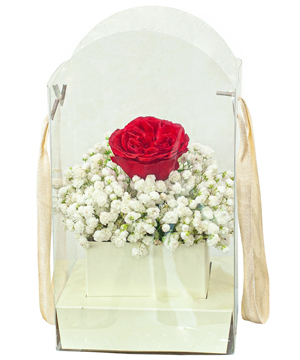[🛒🇻🇳]Giỏ hoa tươi Yêu em một đời (Giỏ xanh bơ), shop hoa tươi online – Giỏ hoa tươi , SKU – 15043 – hoayeuthuong.com 🇻🇳🛒Top1Shop🛒 🇻🇳Top1Vietnam🇻🇳 🛍🛒🇻🇳