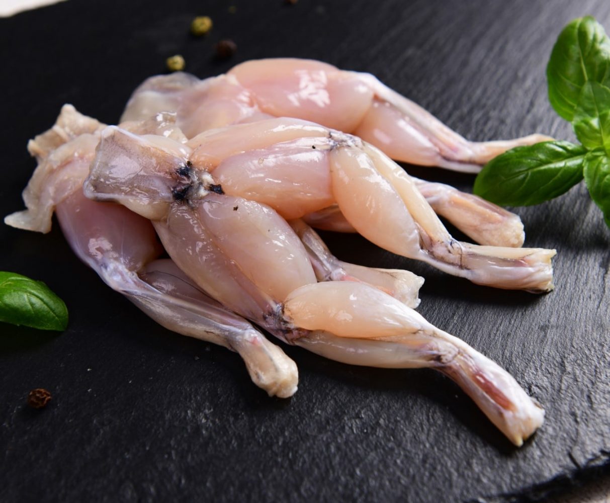 Thịt cóc và nguy cơ ngộ độc