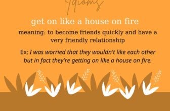 [🆕🇻🇳] Hội những học sinh chuyên Anh 📚 Top1Learn 📕 Hello cả nhà yêu
Đây là bài tổng hợp từ vựng trong series “ A word a day” của page. Ai chưa xem được thì có thể xem, ai xem rồi thì có thể xem lại nhé. Nế , shares-42✔️ , likes-98❤️️ , date-2021-10-17 01:23:00🇻🇳🇻🇳🇻🇳📰🆕