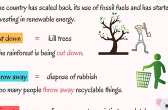 [🆕🇻🇳] English Kids 📚 Top1Learn 📕 A Complete Guide to Phrasal Verbs in English – ESLBUZZ , shares-0✔️ , likes-0❤️️ , date-2024-08-25 03:00:12🇻🇳🇻🇳🇻🇳📰🆕