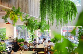 [☕️🇻🇳] ForDeer – Coffee with tree 🥤 Top1Coffee ☕️ Ghé Rừng, chọn góc riêng mình…Tháng 7 dần qua với những ngày nắng rực rỡ cùng vài cơn mưa bất chợt. Và dù ngoài kia nắng mưa , shares-0✔️ , likes-21❤️️ , date-2023-07-28 15:42:41🇻🇳🇻🇳🇻🇳📰🆕