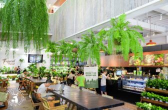 [☕️🇻🇳] ForDeer – Coffee with tree 🥤 Top1Coffee ☕️ Tạm biệt tháng 7, xin chào tháng 8!Tháng 7 vội vã trôi qua với những cơn mưa mùa hạ bất chợt, tháng 8 thu về cận kề cùng mùa t , shares-0✔️ , likes-13❤️️ , date-2023-07-31 13:55:38🇻🇳🇻🇳🇻🇳📰🆕